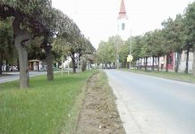 Delo bahatog vozača: Prešao duž celog ostrva